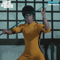 Martial Arts Film GIF by Arrow Video