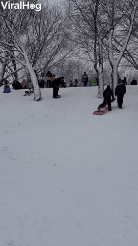 Worlds Smoothest Wipeout GIF by ViralHog