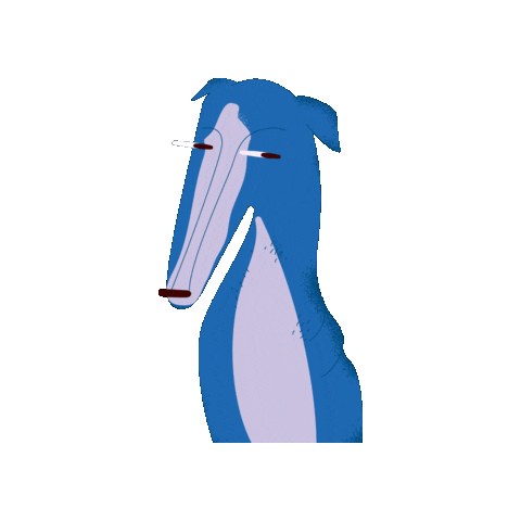 ParisInSydney dog meme no blue Sticker