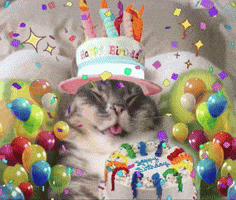 Happy Birthday Cat GIF