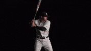 University Of Louisville Baseball GIF by Louisville Cardinals
