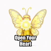 Open Your Heart Wisdom GIF by BuddhaFlyJourney
