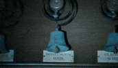 Adam Scott Horror GIF by NEON