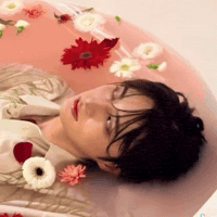 Taro GIF