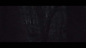 Loop Tree GIF by Mindblind