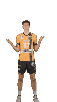 Deutschland Sticker by Volleyball Bundesliga