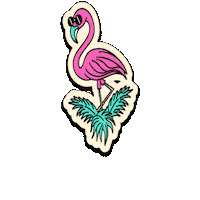 React Miami Conference Sticker by React Miami