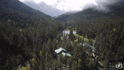 TheBroadmoor travel nature luxury hotel GIF