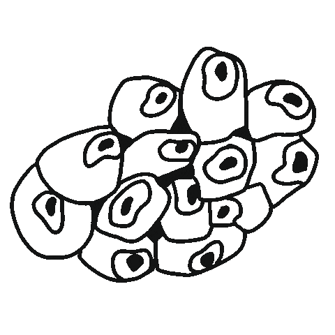 Marine Life Loop Sticker by Gifes Con Ensalada