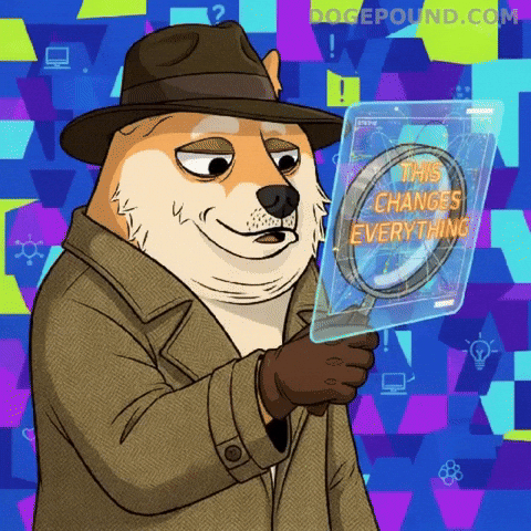 Discovery Omg GIF by Doge Pound