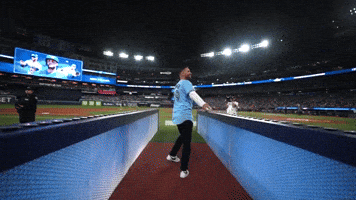 Blue Jays Sport GIF by MLB