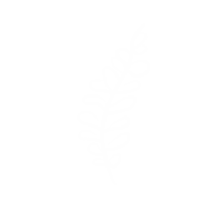 White Sticker