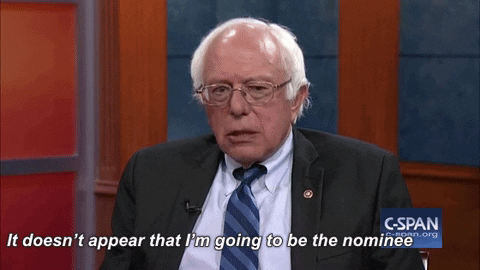 Bernie Sanders Politics GIF