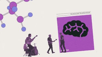 franz ferdinand GIF by Domino Recording Co.
