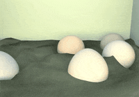 loop 3d GIF by The NGB