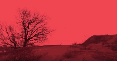 posttraumatic nothingmakessenseanymore GIF by Mike Shinoda