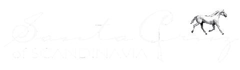 Santacruz Sticker by santacruzofscandinavia