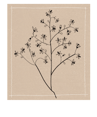 Flower Braun Sticker by omamashop