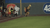 epchihuahuas baseball chihuahua mascots chico GIF
