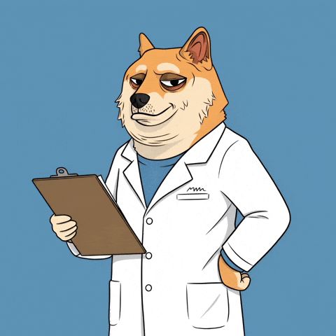 Judging Shiba Inu GIF by Doge Pound