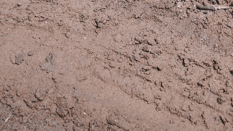 GIF by Dalton Dover