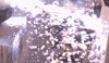 wipeout slip and slide GIF by Old Spice