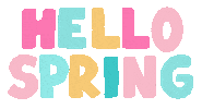 Art Rainbow Sticker