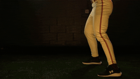 Baseball Juco GIF by Pearl River Athletics