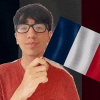 France Pride GIF