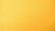 Los Angeles Sport GIF by Cal State LA Golden Eagles