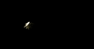 GIF by NASA