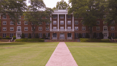 lu lancer GIF by Longwood University