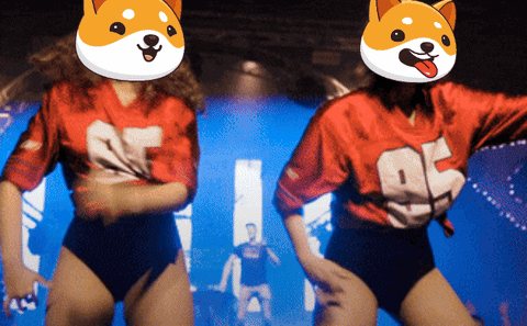 Money Crypto GIF by Baby Doge Coin