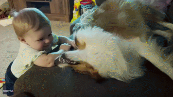 I Woof You! Dog Gives Baby Best Friend Adorable Smooches