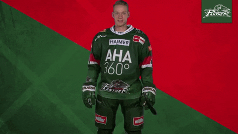 Celebration Goal GIF by Augsburger Panther Eishockey GmbH