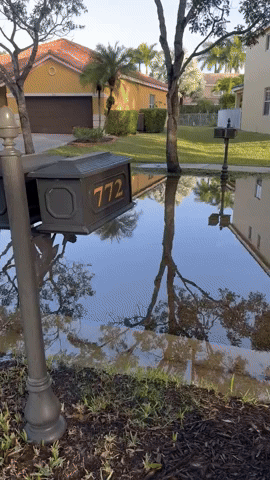 Floridians Navigate Flooded Streets After Deluge
