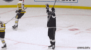 Ice Hockey Sport GIF by NHL