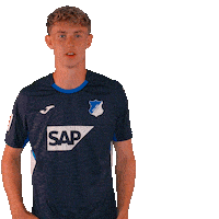 Sport Bundesliga Sticker by TSG Hoffenheim