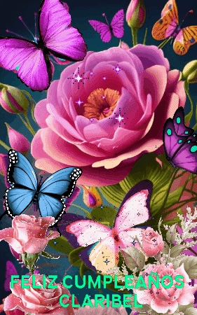 anirdnajelaalleb giphygifmaker giphyattribution GIF