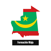 Flag Bandera Sticker by Formación Ninja