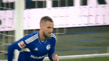 Football Thumbs Up GIF by FC Schalke 04