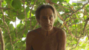 isola13 niño GIF by Isola dei Famosi