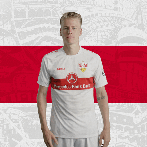 Football Win GIF by VfB Stuttgart
