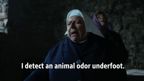 Call The Midwife GIF by PBS