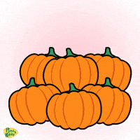 Pumpkin Greetings GIF