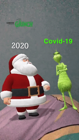 telebun giphygifmaker GIF