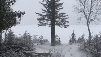 Blustery Snowstorm Sweeps Across Northern Michigan