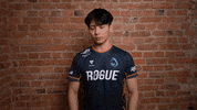 Sad Team GIF by Rogue