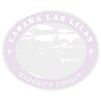 Carne Churrasco Sticker by Minerva Foods