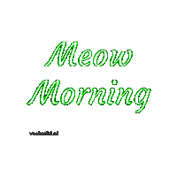 Good Morning Cat Sticker by vankedisi